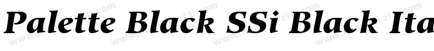 Palette Black SSi Black Italic字体转换